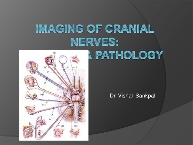 Cranial Nerves: Anatomy, Pathology, Imaging: Anatomy, Pathology, Imaging